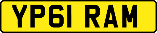 YP61RAM
