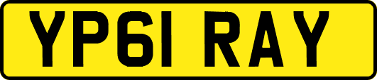 YP61RAY