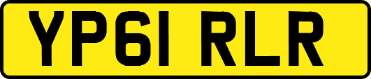 YP61RLR