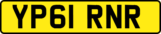YP61RNR