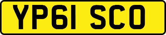 YP61SCO