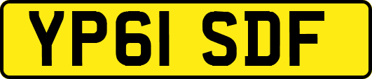 YP61SDF
