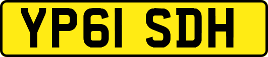 YP61SDH