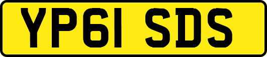 YP61SDS