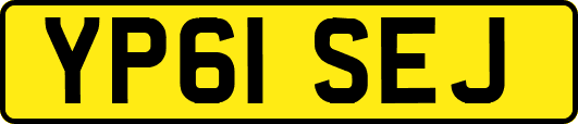 YP61SEJ