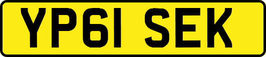 YP61SEK