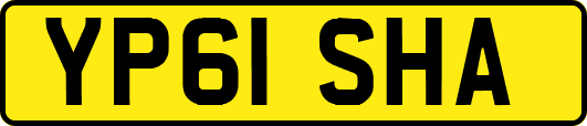 YP61SHA