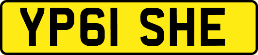 YP61SHE