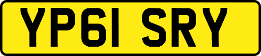 YP61SRY