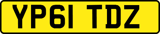 YP61TDZ