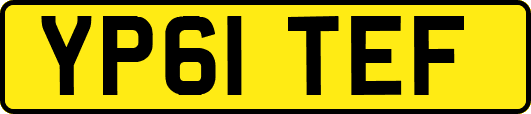 YP61TEF
