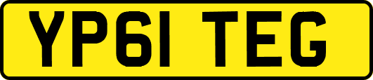 YP61TEG