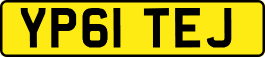 YP61TEJ