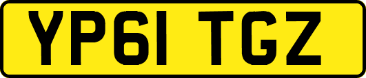 YP61TGZ