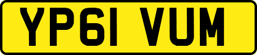 YP61VUM