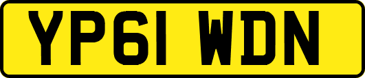 YP61WDN