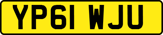 YP61WJU