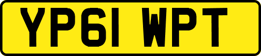 YP61WPT
