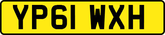 YP61WXH