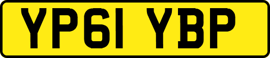 YP61YBP