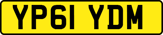 YP61YDM