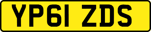 YP61ZDS