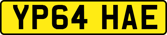 YP64HAE