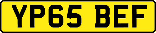 YP65BEF