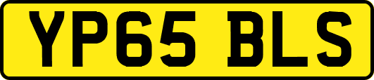 YP65BLS