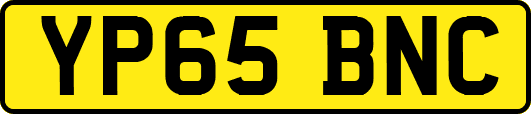 YP65BNC