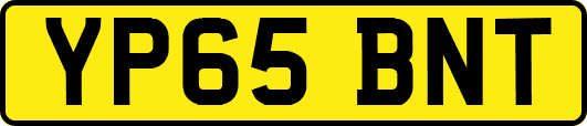 YP65BNT