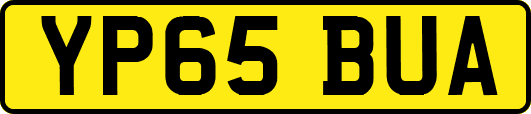 YP65BUA