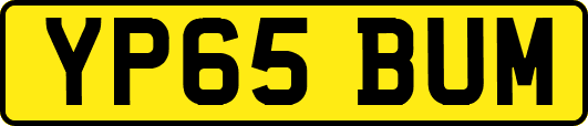 YP65BUM