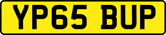 YP65BUP