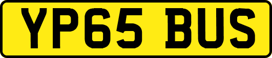 YP65BUS