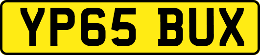 YP65BUX