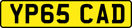 YP65CAD