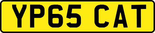 YP65CAT