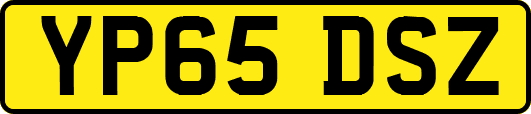 YP65DSZ