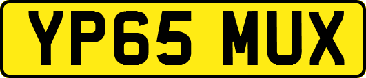 YP65MUX