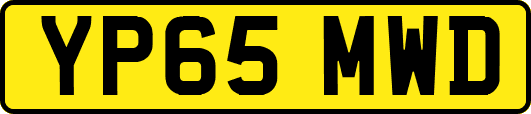YP65MWD