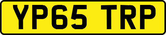YP65TRP