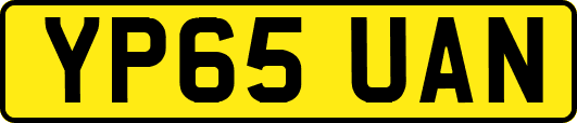 YP65UAN