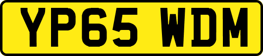 YP65WDM