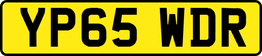 YP65WDR