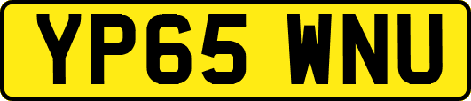 YP65WNU