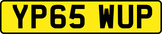 YP65WUP