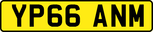YP66ANM