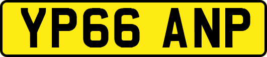YP66ANP