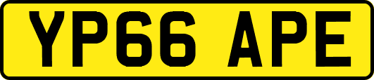 YP66APE